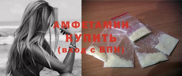 хмурый Гусь-Хрустальный