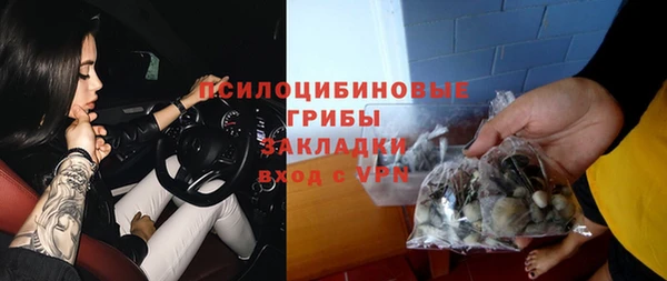 хмурый Гусь-Хрустальный