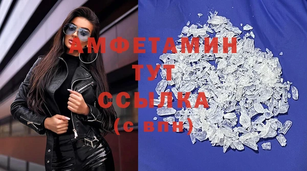 первитин Гусев