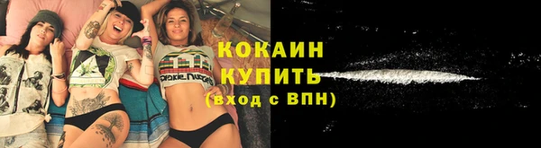 первитин Гусев