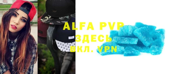хмурый Гусь-Хрустальный