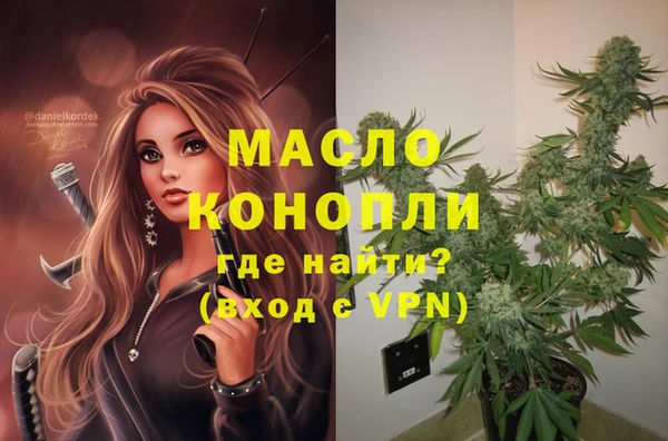 хмурый Гусь-Хрустальный