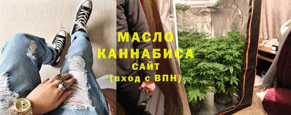 хмурый Гусь-Хрустальный