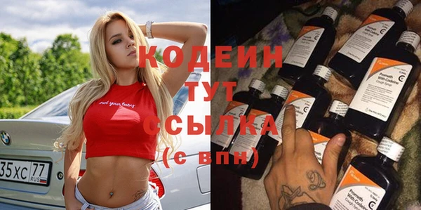 хмурый Гусь-Хрустальный