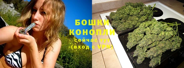 хмурый Гусь-Хрустальный