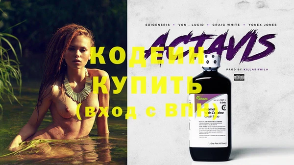 хмурый Гусь-Хрустальный