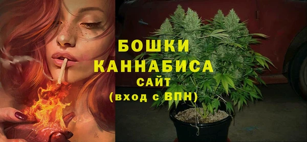 хмурый Гусь-Хрустальный