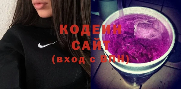 первитин Гусев
