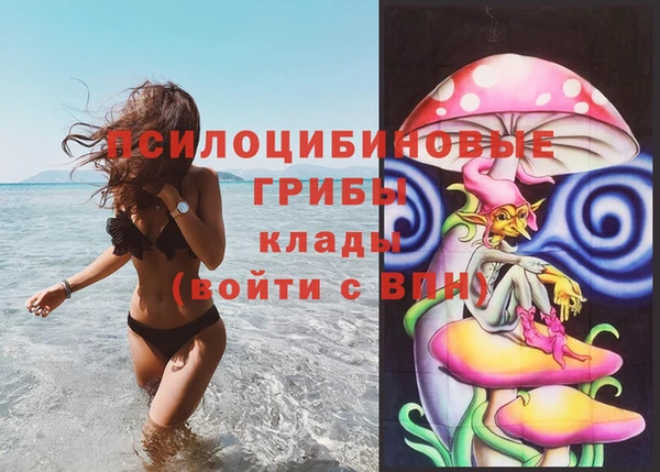 хмурый Гусь-Хрустальный