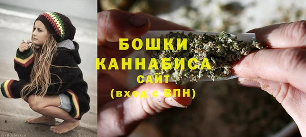 хмурый Гусь-Хрустальный